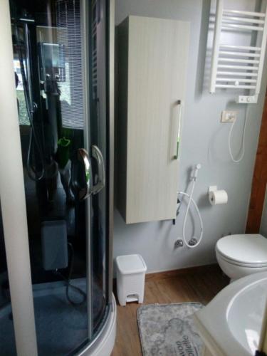 a bathroom with a shower with a toilet and a sink at Villa leonia in Alba Adriatica