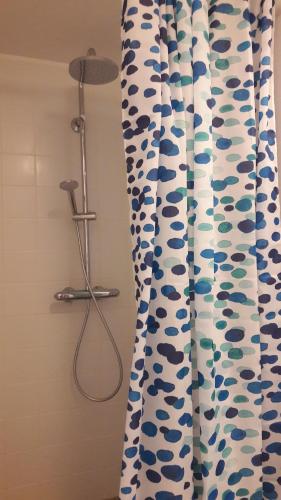 a shower curtain in a bathroom next to a shower at Skólavörðustígur Apartments in Reykjavík