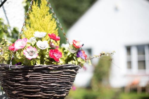 a basket filled with flowers hanging from a tree at JustB Edinburgh in Edinburgh