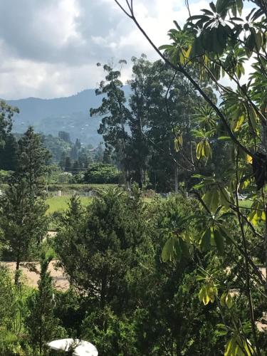 a view of a forest with mountains in the background at Ana's Apartment in Chakvi Oasis in Chakvi