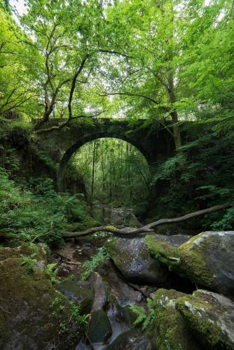 an old bridge over a stream in a forest at Casa Apilladeira in Puentedeume