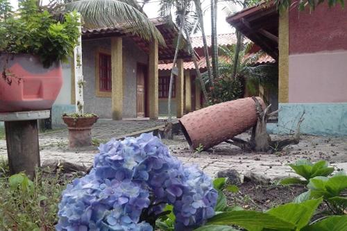 a bunch of purple flowers in front of a building at Pousada Taruma in Mucuri