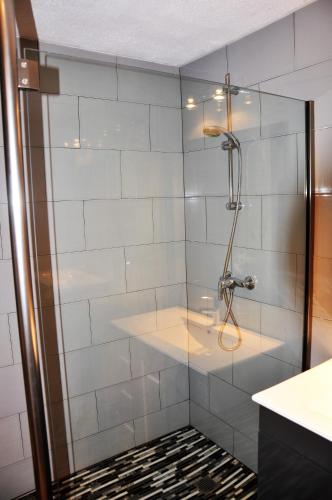 prysznic ze szklanymi drzwiami w łazience w obiekcie Studio Chic Saint-Martin w mieście Marigot