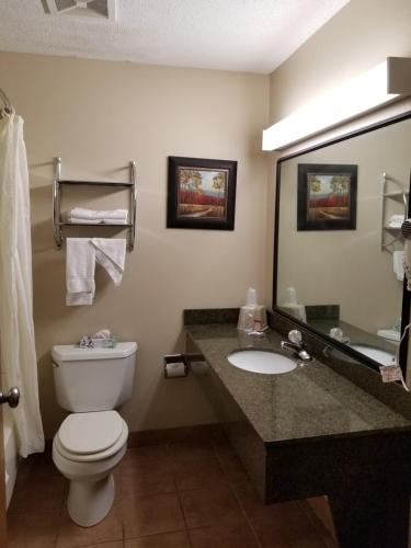 a bathroom with a toilet and a sink and a mirror at Prairie Inn in Vermillion