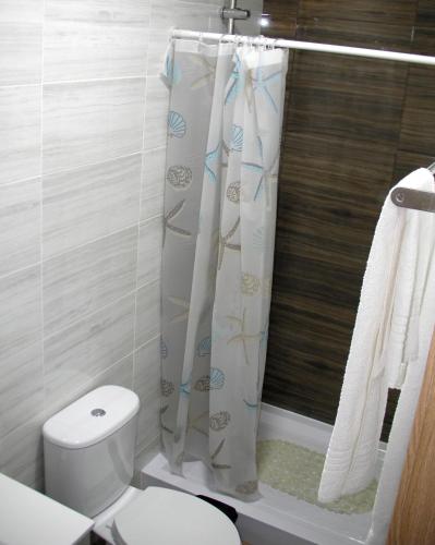 a bathroom with a toilet and a shower curtain at Alojamento Costa & Dias in Vila Verde