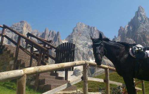 a horse standing next to a fence in front of a mountain at Hotel Sole Family Hotel in Predazzo
