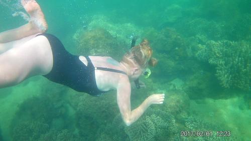 a woman in a swimsuit swimming in the water at Cham Island Smiles Homestay in Tân Hiệp