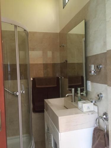 ein Bad mit einer Dusche, einem Waschbecken und einem Spiegel in der Unterkunft Villas Sol y Luna Coyoacan in Mexiko-Stadt