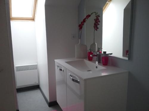 une salle de bain blanche avec un lavabo et un miroir dans l'établissement chambre et salon vidéo, à Marzy