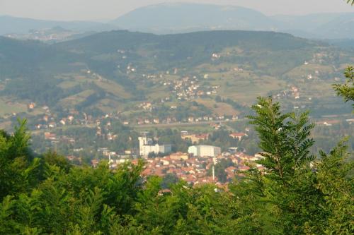 a view of a city from a hill with trees at Holiday Home Nature Neno in Visoko