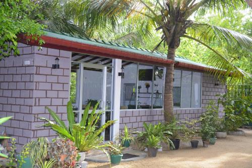 a house with palm trees and plants in front of it at Livinginn Polonnaruwa in Polonnaruwa