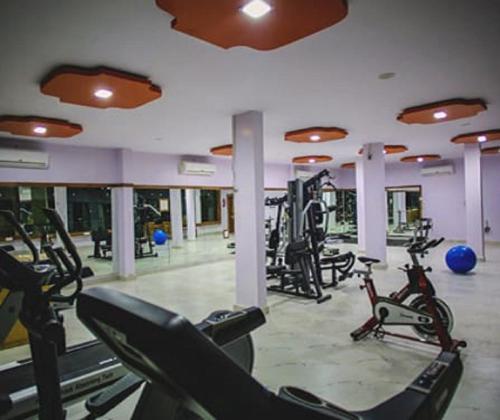 Fitness centrum a/nebo fitness zařízení v ubytování Hotel Saroj Sagar