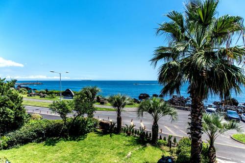 a view of a street with palm trees and the ocean at Jeju Aurum in Seogwipo
