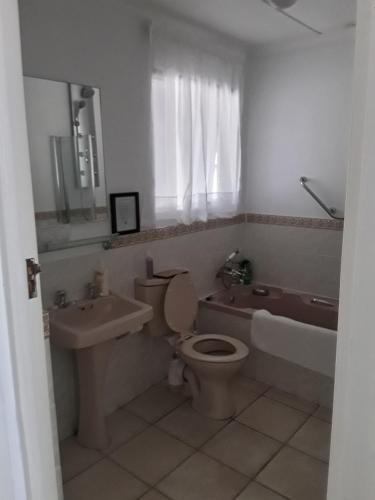 a bathroom with a toilet and a sink and a tub at Fijnbos Manor in Bettyʼs Bay
