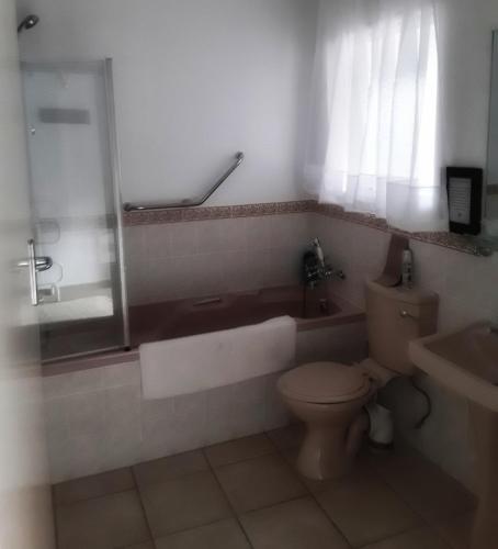 a bathroom with a toilet and a sink at Fijnbos Manor in Bettyʼs Bay