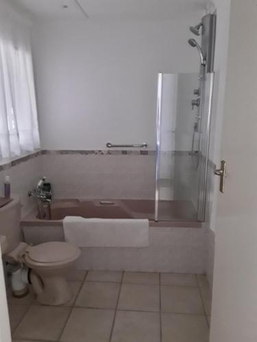 a bathroom with a tub and a toilet and a shower at Fijnbos Manor in Bettyʼs Bay
