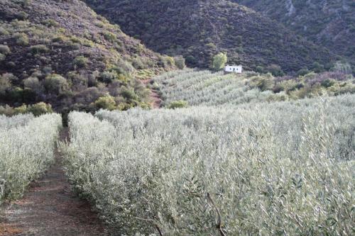 Φυσικό τοπίο κοντά σε αυτή η παραθεριστική κατοικία