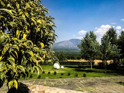 un jardín con un árbol y unas pelotas en la hierba en La Fucina di Vulcano, en Bronte