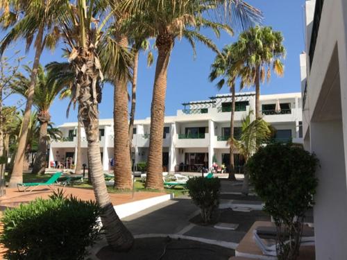 Paradise Club Oasis