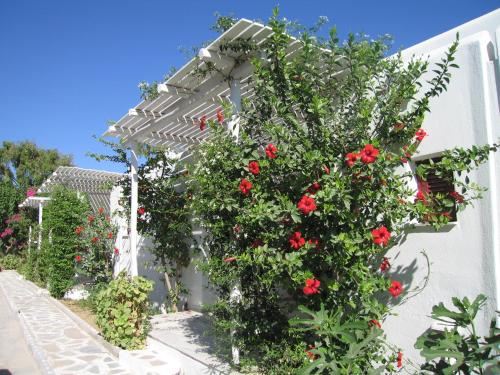 a white building with red roses growing on it at Surfing Beach Village Paros in Santa Maria