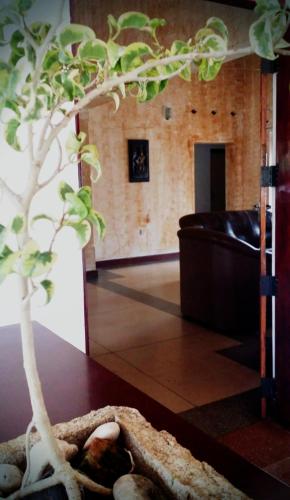 a fake tree sitting on a table in a living room at Saubagya Inn in Anuradhapura