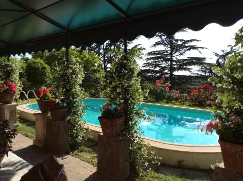 a group of potted plants next to a swimming pool at Villa Nanda a 15 minuti da Roma piscina esclusiva , villa nella natura in Formello