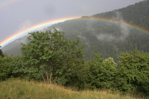 a rainbow in the middle of a field with trees at Agriturismo Ai Castioni in Molveno