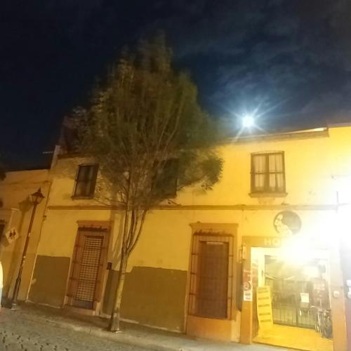 a yellow building with a tree in front of it at Hierba De Conejo Hostel in Oaxaca City