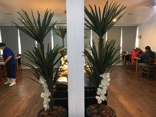 two palm trees in a room with people in a restaurant at Bras Palace Hotel in Sao Paulo