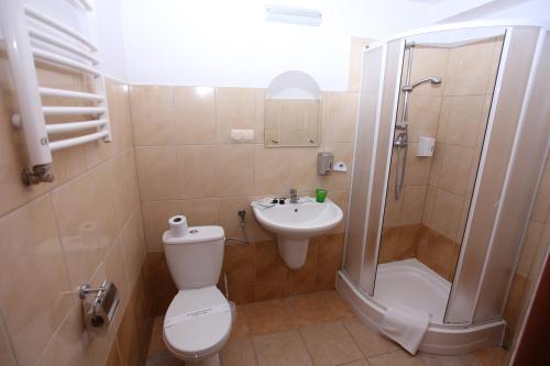a bathroom with a toilet and a shower and a sink at Hotel Kakadu in Konin