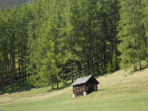 a small cabin in the middle of a grassy hill at Haus Thurner in Obsteig