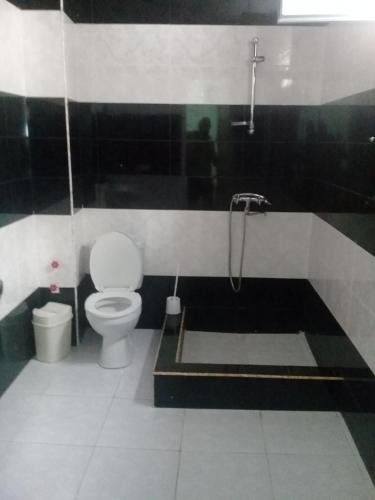 Un baño de Elmira