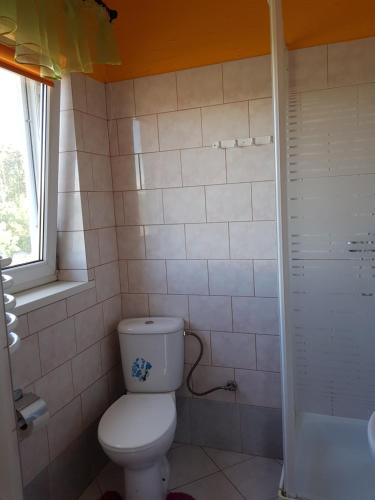 a bathroom with a toilet and a shower at Słoneczna Przystań in Kruklanki