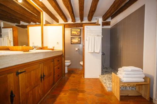ペドラサにあるEl Bulín de Pedraza - Casa del Serradorのバスルーム(洗面台、トイレ付)