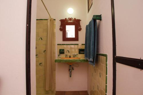 a bathroom with a sink and a shower and a mirror at La Casa del Chac in Mérida