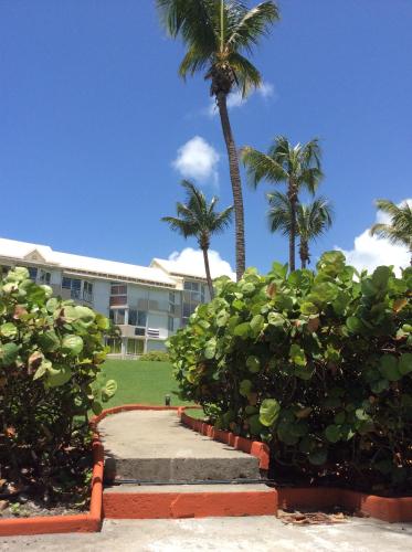 a palm tree and a building with palm trees at Studio De Charme in Le Gosier