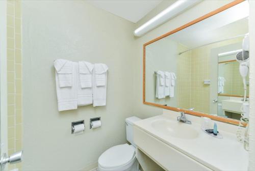 サラソタにあるAmericas Best Value Inn Sarasotaのバスルーム(洗面台、トイレ、鏡付)