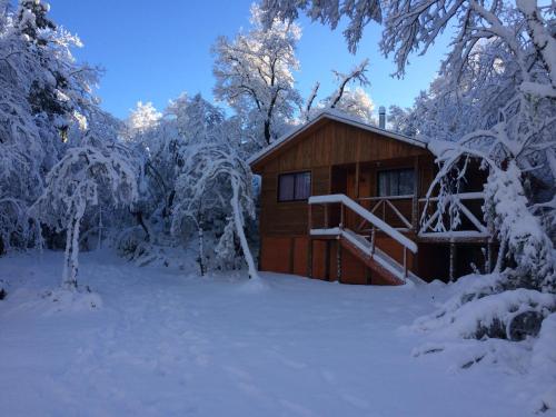 domek na śniegu z drzewami pokrytymi śniegiem w obiekcie Cabañas Los Cuatro Robles w mieście Las Trancas