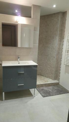 une salle de bain avec un lavabo et une douche dans l'établissement T2 de 45 m2 sur Porticcio avec Jardin, à Porticcio