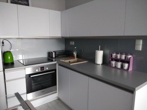 Kuchyňa alebo kuchynka v ubytovaní Apartment Plac Bankowy
