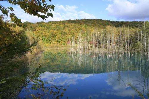 a view of a lake in the middle of a forest at Pension Ashitaya in Furano
