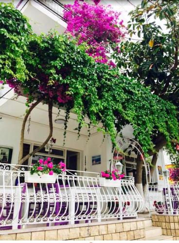 un gruppo di sedie davanti a una casa con fiori di Agan Pension a Bodrum City