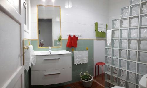 サンタクルス・デ・テネリフェにあるCasa María Cristina 3のバスルーム(洗面台、鏡付)