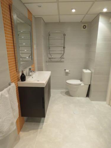 La salle de bains est pourvue d'un lavabo et de toilettes. dans l'établissement Apartamento Playamar 16, à Torremolinos