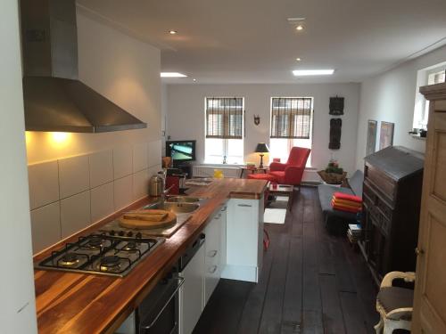 a kitchen with a stove and a counter top at Roofterrace Apartment in Alkmaar