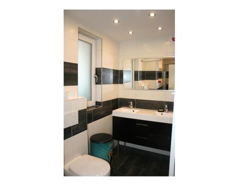 a bathroom with a sink and a toilet and a mirror at Ferienwohnung Tannenweg in Baden-Baden