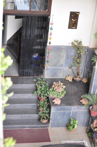 a set of stairs with potted plants on them at Shardas Homestay in Ajmer