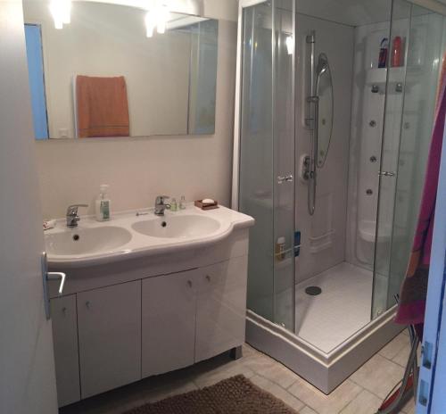 a bathroom with a sink and a shower at La Maison D'ILHAN in Ilhan