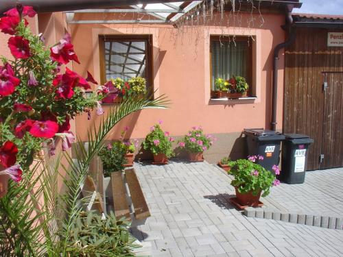 a group of potted plants on the side of a house at Wellness Penzion Palice in Jindrichuv Hradec