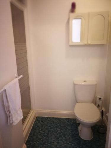 a bathroom with a white toilet and a window at Delamere Hotel in Blackpool